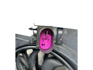 Вентилятор радиатора     4F0121003A    Audi A6 S6 C6 4F 