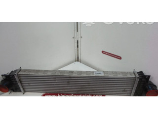 Интеркулер E1G36K775JA Ford Galaxy