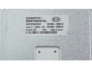 Блок управления двигателя 391B503DL9, 391B103DL9   KIA Niro