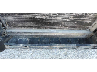 Интеркулер Skoda Fabia Mk2 (5J)