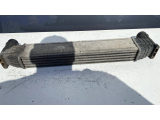 Интеркулер 7M0145805, 0823856 Seat Alhambra (Mk1) 1.9