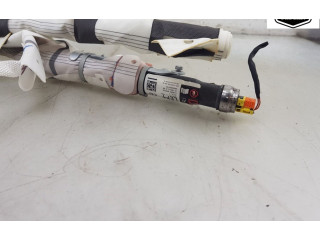 Надувная подушка для крыши 103675600G, 103675600G Tesla Model X A0003K8775D