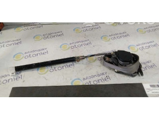 Подушка безопасности водителя CINTURONGRIS Ford Galaxy