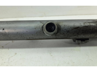 Vstřikovací lišta A6420703095, 1010900246 Mercedes-Benz E W212