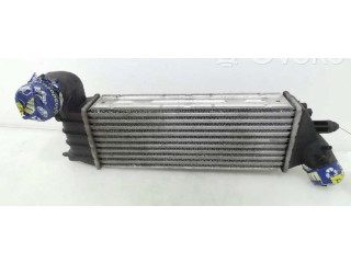 Интеркулер  E256074   Citroen C8 2.0