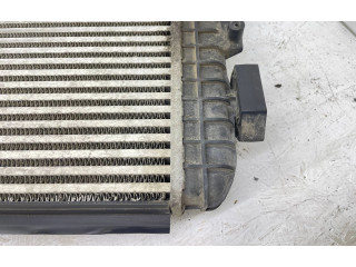 Интеркулер  1K0145803BN, 1K0820411AE   Skoda Octavia Mk2 (1Z) 