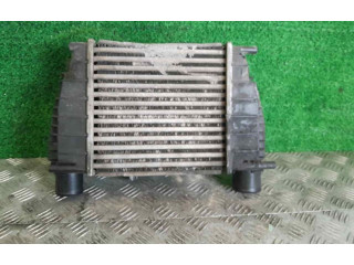 Интеркулер 8200471885A Renault Clio III