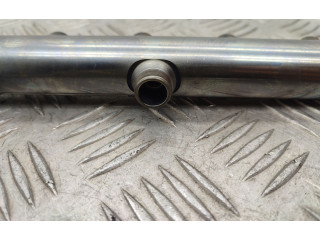 Vstřikovač A6540163400, A0525453826 Mercedes-Benz E W213