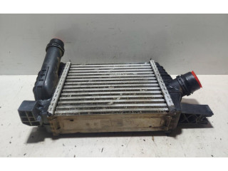 Интеркулер  144961381R   Renault Clio III 