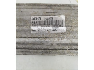 Интеркулер  0384P3   Peugeot 5008 