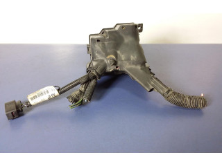 Pojistková skříňka Ford Fiesta 2009