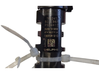 Форсунка 9686191080, EMBR00101D    Ford S-MAX   