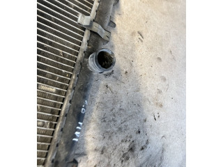 Радиатор охлаждающей жидкости R8445B324E Citroen Jumpy