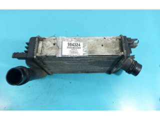 Интеркулер IMPRK984324 Dacia Dokker