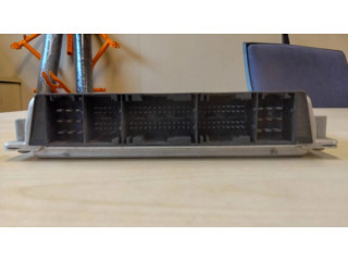 Řídící jednotka NNN100720, 0281010300 Land Rover Freelander 2001