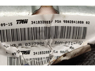 Боковая подушка безопасности 9802841080, 34183288B   Citroen C3