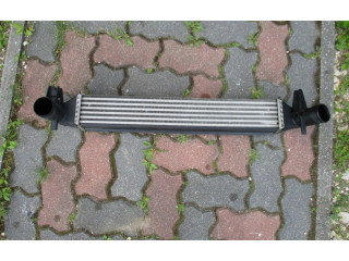 Интеркулер Skoda Fabia Mk2 (5J)