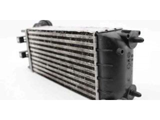 Интеркулер  0384N9, M144105C9684212480   Citroen DS4 1.6