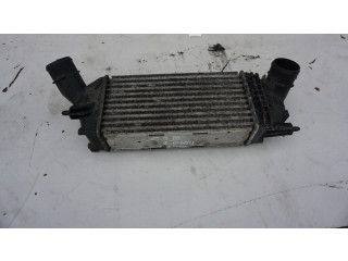 Интеркулер Citroen C5