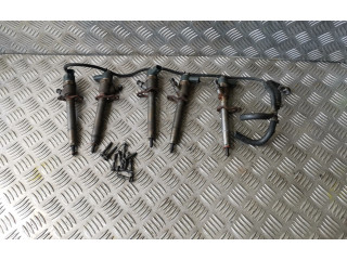 Комплект форсунок 0445110251, 30750283    Volvo S60   