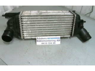 Интеркулер 9645682880, IA1095-874823NK Citroen C5