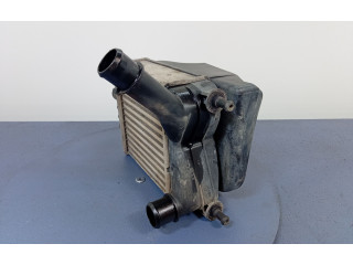 Интеркулер  8.478.500.0.0, 8.478.500.0.0   Fiat Punto (188) 