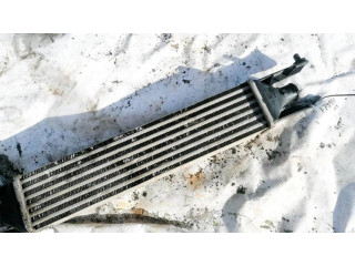 Интеркулер     Fiat Punto (188) 1.3