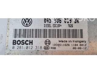 Блок управления двигателя 0281012318   Skoda Fabia Mk1 (6Y)