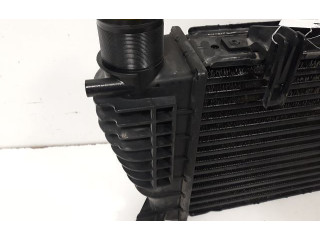 Интеркулер 131302014255 Nissan Note (E11)