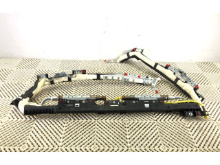 Надувная подушка для крыши Honda Odyssey - года