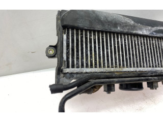 Интеркулер     Subaru Forester SG 