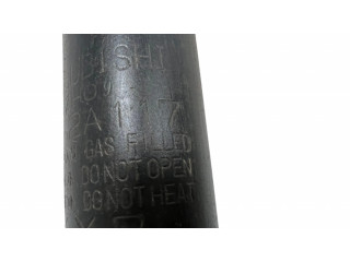 Задний aмортизатор      