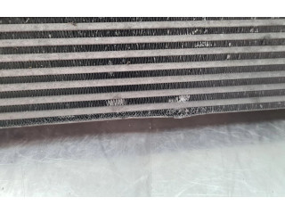 Интеркулер  8200880552, 1100229446   Dacia Duster 