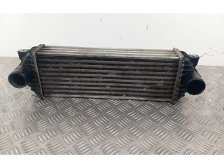 Интеркулер 4999282 Ford Transit - Tourneo Connect