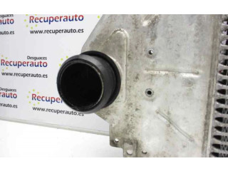 Интеркулер  8200252209   Renault Clio II 