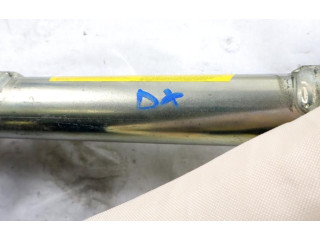 Боковая подушка безопасности 46844788 Lancia Musa