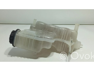 Расширительный бачок охлаждающей жидкости    