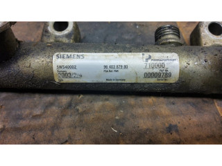 Vstřikovací lišta 9640387980   Citroen Berlingo  pro naftový motor 2.0  