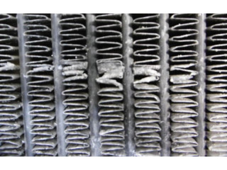 Интеркулер  456958, 456958   Volvo 440 