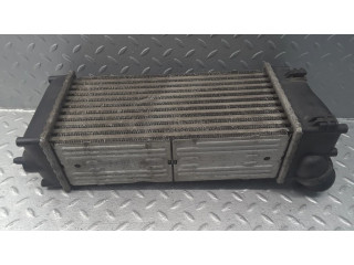 Интеркулер  9648551880, 876923JF   Citroen DS4 1.6