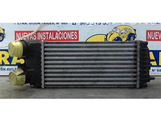 Интеркулер 9645965180, 9645965180 Citroen Xsara Picasso