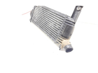 Интеркулер F6926006 Nissan Pathfinder R51