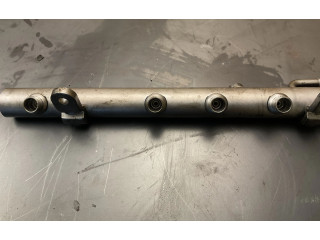 Vstřikovací lišta A6420702495, 0916100498 Mercedes-Benz S W221