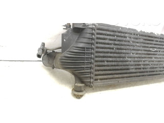 Интеркулер Nissan Pathfinder R51