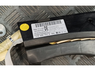 Подушка безопасности двери 1T0880741D, 30346450C   Volkswagen Touran I