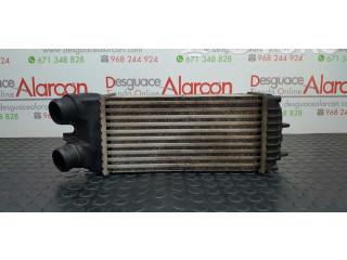 Интеркулер  0384G5, E256083   Peugeot Partner 