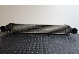 Интеркулер  A1695000000   Mercedes-Benz A W169 