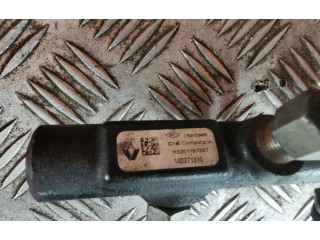 Комплект системы впрыска топлива 0445110485, 167007358R Renault Clio IV