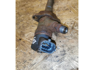 Vstřikovač 0445110239   Citroen Berlingo     