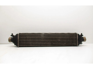 Интеркулер     Fiat Punto (199) 